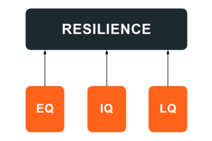 The Three Pillars of Resilience model